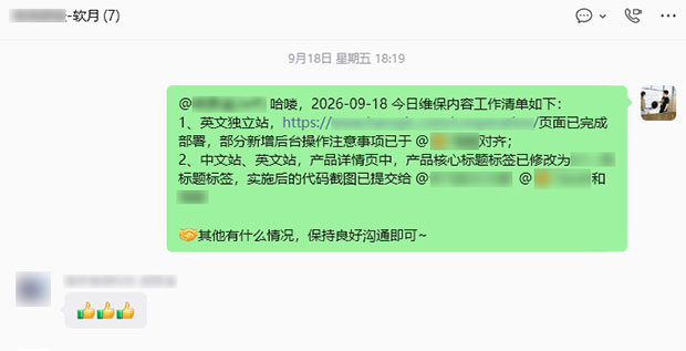 英文独立站新增页面正式部署及中英文站标题标签优化-4