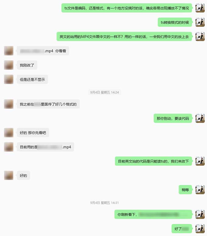 英文独立站首页宣传视频调用格式统一调整-2