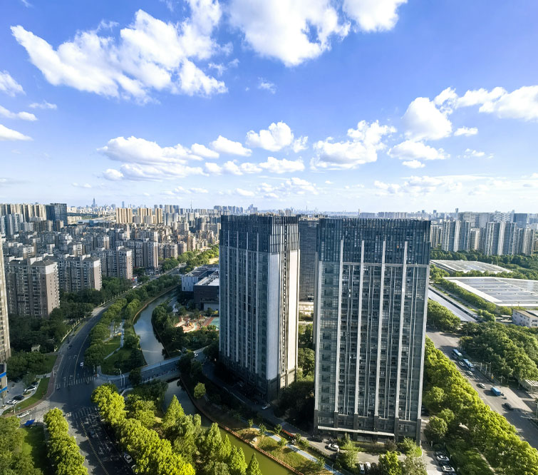 小苗老桩十年路：择一业安身立命，待一势扭转乾坤